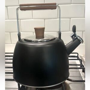 Well Equipped Kitchen Black Matte Stainless Steel Tea Kettle